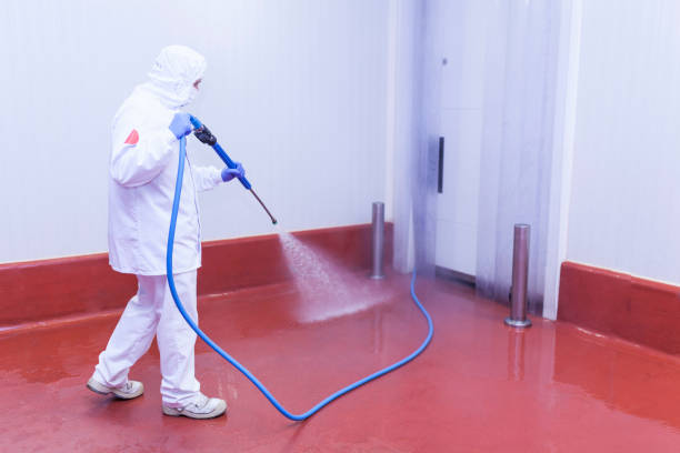 Best Building Exterior Washing  in New Braunfels, TX